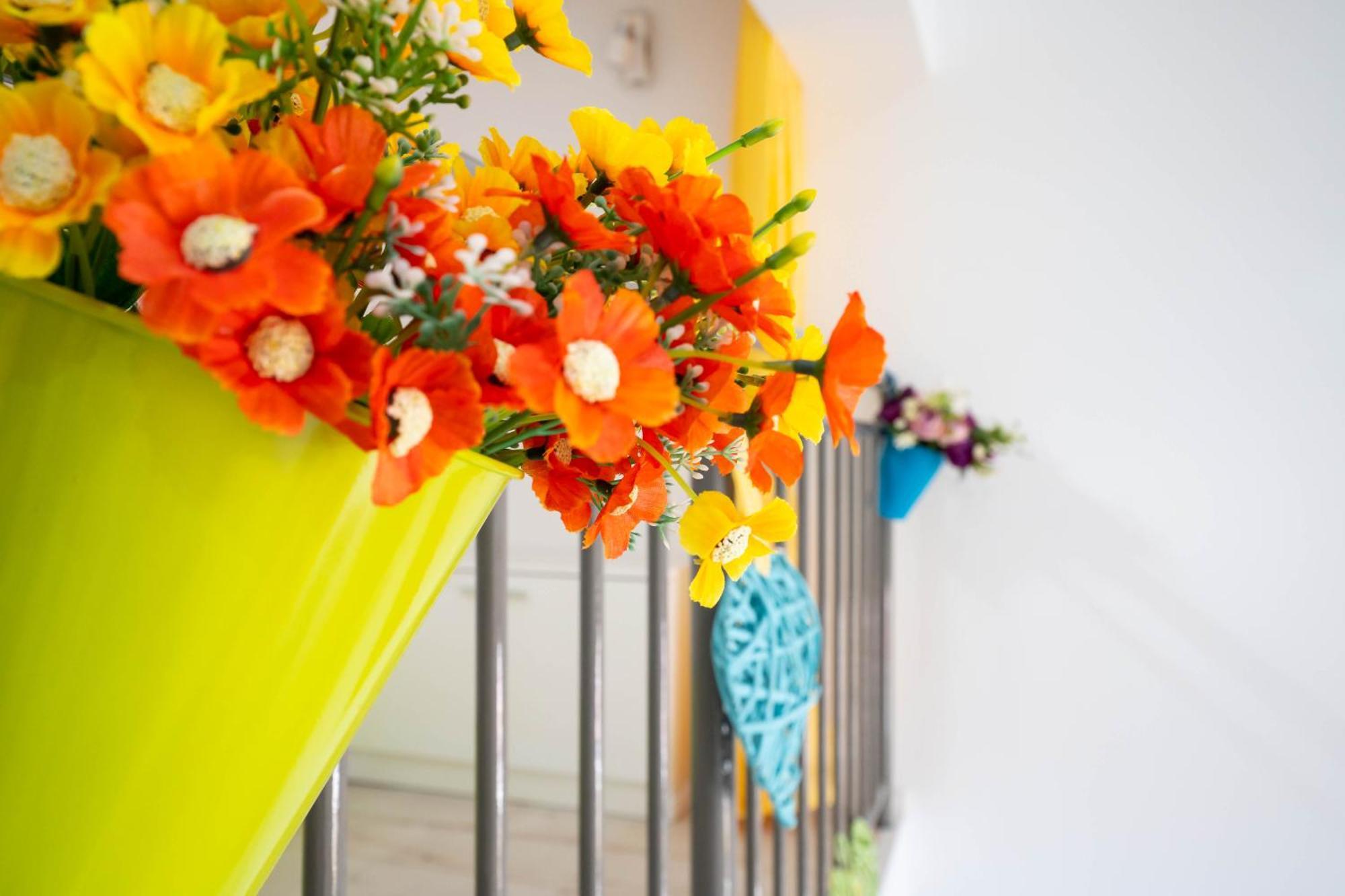 Apartments Angela マカルスカ エクステリア 写真